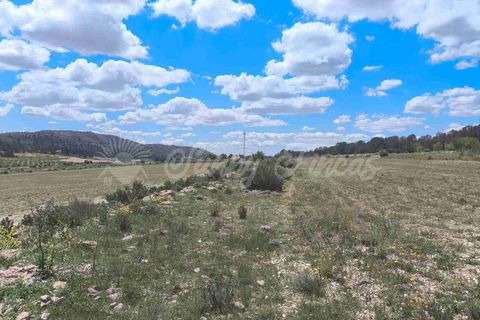Landejendom i Yecla, Murcia, Yecla - € 225.000 | Ref: SF0527 - foto 38